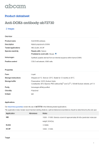 Anti-DOK6 antibody ab72730 Product datasheet 2 Images