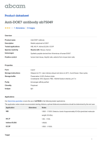 Anti-DOK7 antibody ab75049 Product datasheet 1 Abreviews 3 Images