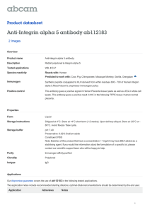 Anti-Integrin alpha 5 antibody ab112183 Product datasheet 2 Images