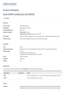 Anti-LRP4 antibody ab122923 Product datasheet 2 Images