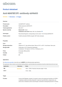 Anti-MAP2K1IP1 antibody ab96653 Product datasheet 1 Abreviews 2 Images