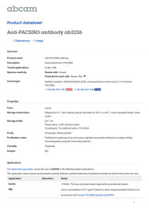 Anti-PACSIN3 antibody ab2226 Product datasheet 1 References 1 Image