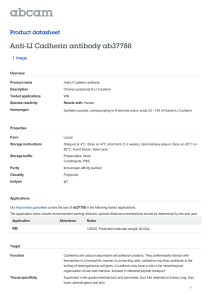 Anti-LI Cadherin antibody ab37788 Product datasheet 1 Image Overview