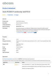 Anti-PCDH19 antibody ab57510 Product datasheet 3 Abreviews 2 Images