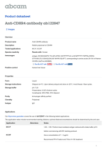 Anti-CDHR4 antibody ab122847 Product datasheet 2 Images Overview