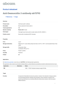 Anti-Desmocollin 2 antibody ab72792 Product datasheet 1 References 1 Image
