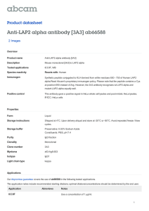 Anti-LAP2 alpha antibody [3A3] ab66588 Product datasheet 2 Images Overview