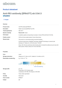 Anti-PR3 antibody [EPR6277] ab133613 Product datasheet 3 Images Overview