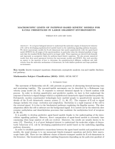 MACROSCOPIC LIMITS OF PATHWAY-BASED KINETIC MODELS FOR