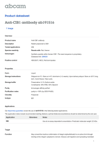 Anti-CIB1 antibody ab191516 Product datasheet 1 Image Overview