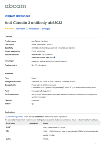 Anti-Claudin 2 antibody ab53032 Product datasheet 1 Abreviews 2 Images