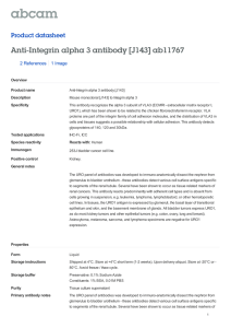 Anti-Integrin alpha 3 antibody [J143] ab11767 Product datasheet 2 References 1 Image