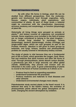 essay campaign xbox one