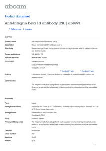 Anti-Integrin beta 1d antibody [2B1] ab8991 Product datasheet 3 References 2 Images