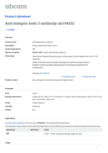 Anti-Integrin beta 3 antibody ab194332 Product datasheet 2 Images Overview