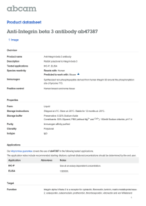 Anti-Integrin beta 3 antibody ab47387 Product datasheet 1 Image
