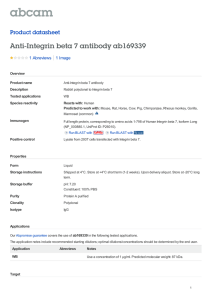 Anti-Integrin beta 7 antibody ab169339 Product datasheet 1 Abreviews 1 Image