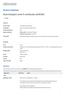 Anti-Integrin beta 8 antibody ab55364 Product datasheet 1 Image
