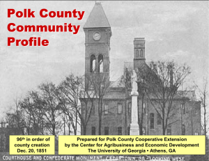 Polk County Community Profile