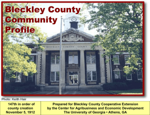 Bleckley County Community Profile