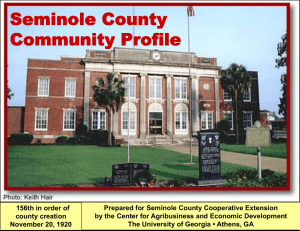 Seminole County Community Profile
