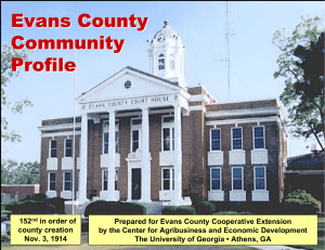 Evans County Community Profile