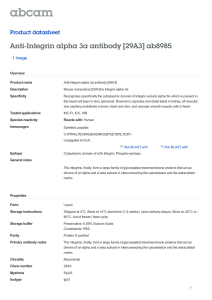 Anti-Integrin alpha 3a antibody [29A3] ab8985 Product datasheet 1 Image Overview