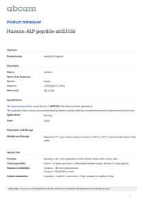 Human ALP peptide ab23126 Product datasheet Overview Product name