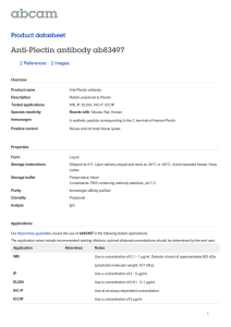 Anti-Plectin antibody ab83497 Product datasheet 2 References 2 Images