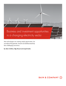 Business and investment opportunities in a changing electricity sector