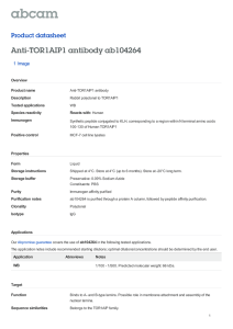 Anti-TOR1AIP1 antibody ab104264 Product datasheet 1 Image Overview