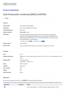 Anti-Desmuslin antibody [M03] ab89228 Product datasheet 1 Image Overview