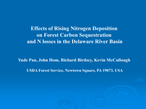 Effects of Rising Nitrogen Deposition on Forest Carbon Sequestration