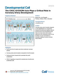 The CXCL12/CXCR4 Axis Plays a Critical Role in Coronary Artery Development Article