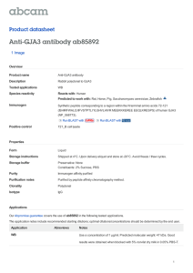 Anti-GJA3 antibody ab85892 Product datasheet 1 Image