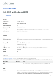 Anti-LIN7 antibody ab11472 Product datasheet 1 References Overview