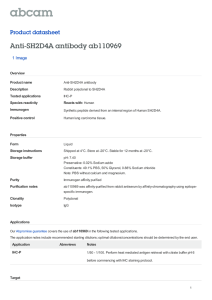 Anti-SH2D4A antibody ab110969 Product datasheet 1 Image Overview