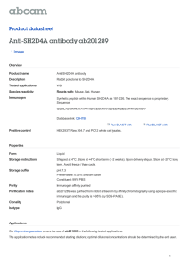 Anti-SH2D4A antibody ab201289 Product datasheet 1 Image Overview