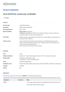 Anti-BAF53A antibody ab84486 Product datasheet 3 Images