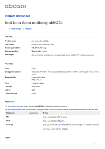 Anti-beta Actin antibody ab54724 Product datasheet 2 References 3 Images