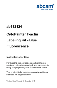 ab112124 CytoPainter F-actin Labeling Kit - Blue Fluorescence