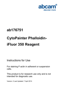 ab176751 CytoPainter Phalloidin- iFluor 350 Reagent Instructions for Use