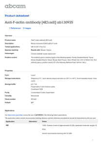 Anti-F-actin antibody [4E3.adl] ab130935 Product datasheet 1 References 3 Images