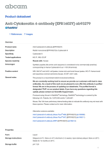 Anti-Cytokeratin 6 antibody [EPR1602Y] ab93279 Product datasheet 1 References 7 Images