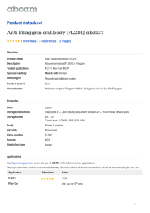 Anti-Filaggrin antibody [FLG01] ab3137 Product datasheet 1 Abreviews 3 Images