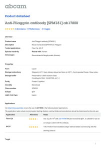 Anti-Filaggrin antibody [SPM181] ab17808 Product datasheet 4 Abreviews 3 Images