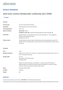 Anti-hair cortex Cytokeratin antibody ab112444 Product datasheet 2 Images