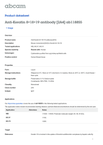 Anti-Keratin 8+18+19 antibody [2A4] ab118855 Product datasheet 1 Image Overview