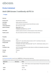 Anti-LIM kinase 2 antibody ab70116 Product datasheet 3 Images Overview