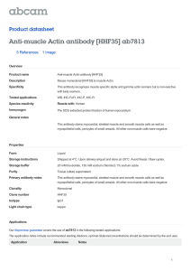 Anti-muscle Actin antibody [HHF35] ab7813 Product datasheet 5 References 1 Image